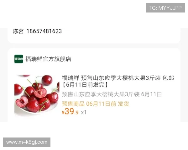 凯发ag旗舰店官网电话维护与客户反馈渠道详解